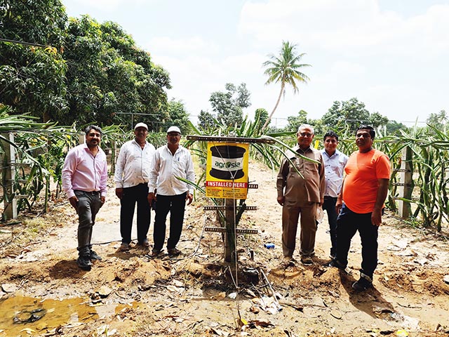 Dragon Fruit Trellis Wire