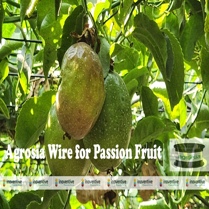 Agrosia Pet Wire for Passion Fruit Farming