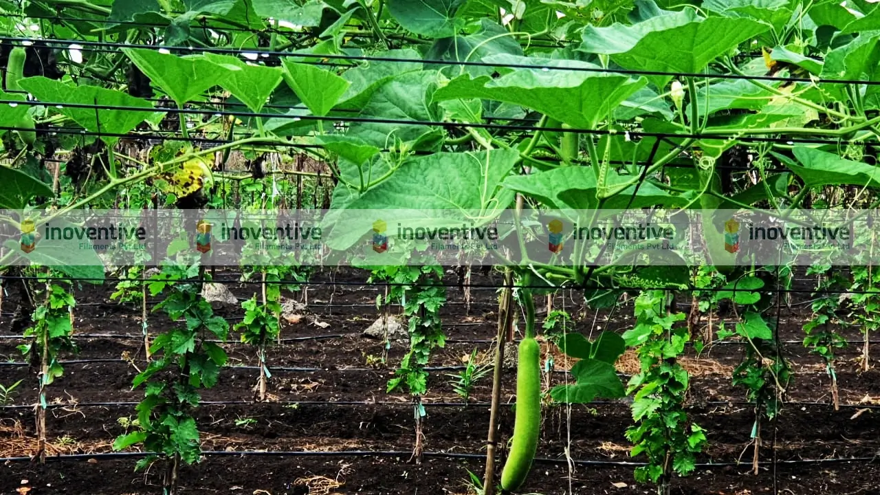 Inoventive Filaments